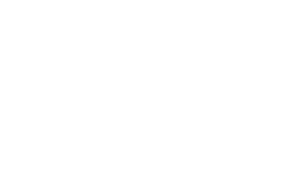 Stout Team